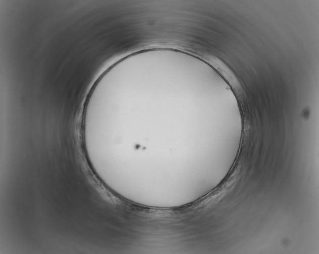 X0000116671052201001111307