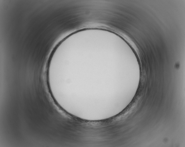 X0000116671053201001111307