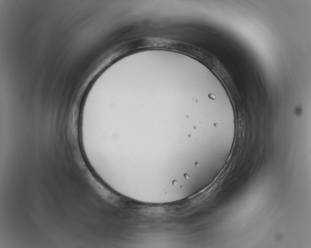 X0000116671054201001111307