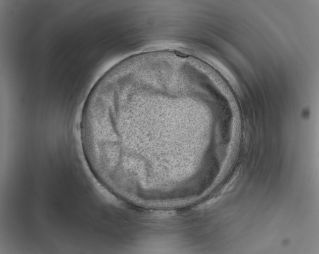 X0000116671055201001111307