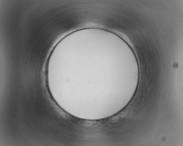 X0000116671056201001111307