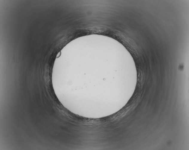 X0000116671058201001111306