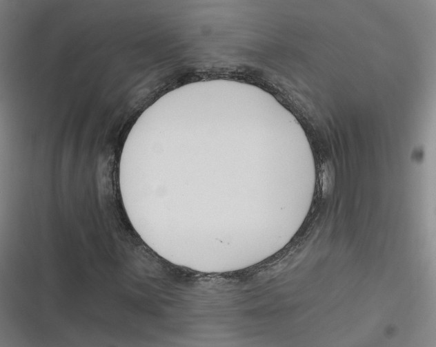 X0000116671059201001111306