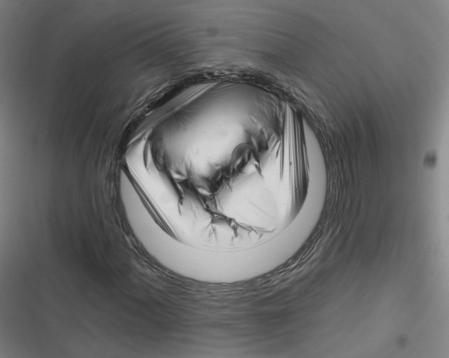 X0000116671060201001111306