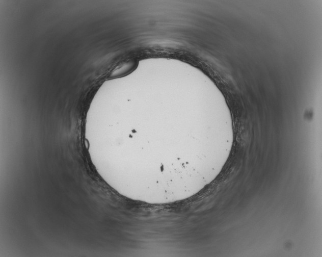 X0000116671061201001111306