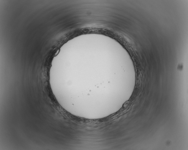 X0000116671062201001111306