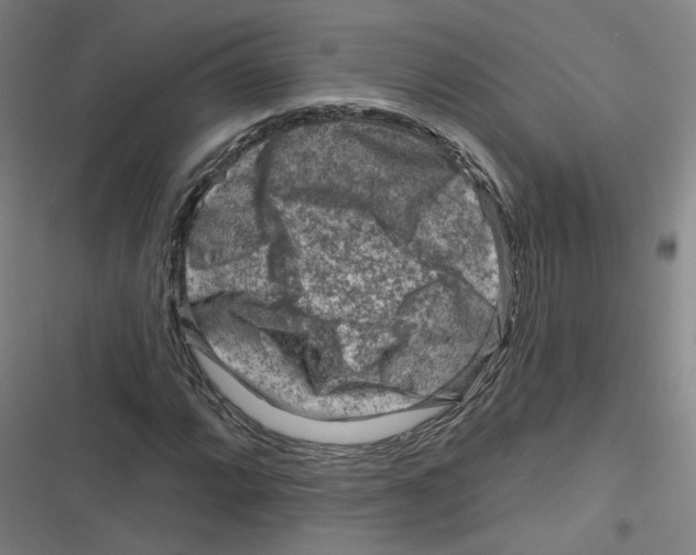 X0000116671064201001111306