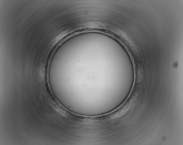 X0000116671065201001111306