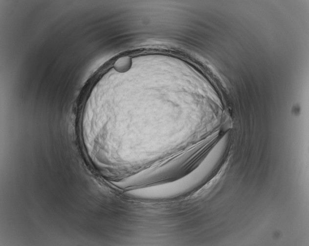 X0000116671066201001111306