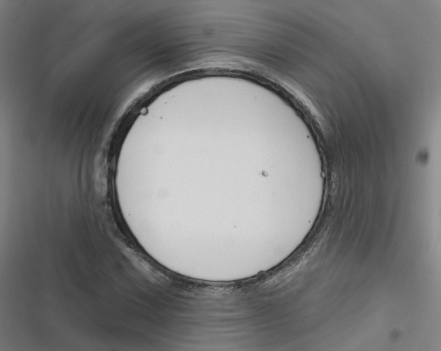 X0000116671067201001111306