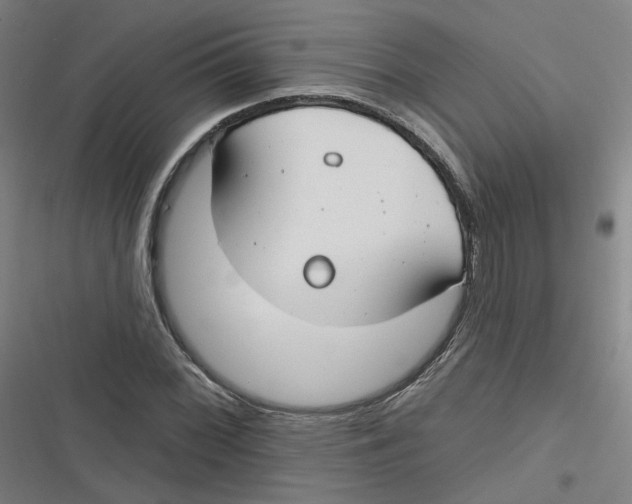 X0000116671068201001111306