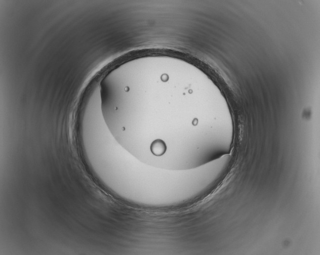 X0000116671069201001111306