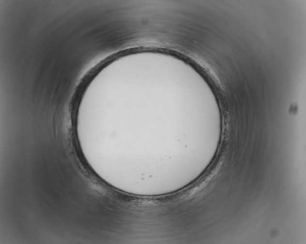 X0000116671070201001111306