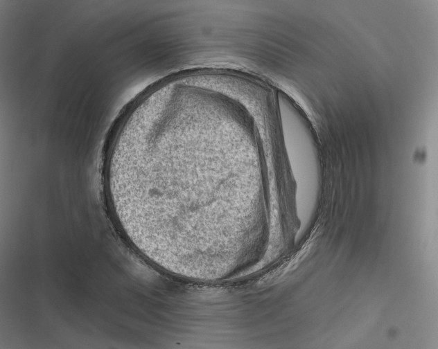 X0000116671071201001111306