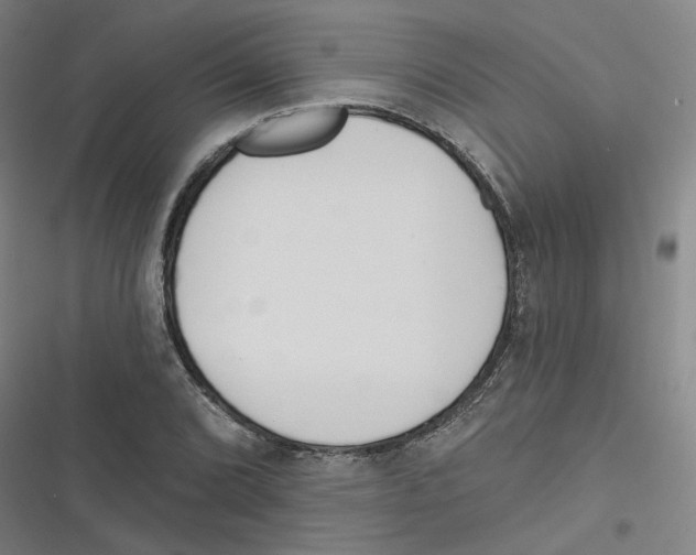 X0000116671072201001111306