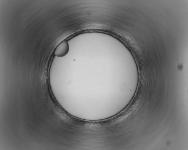 X0000116671073201001111306