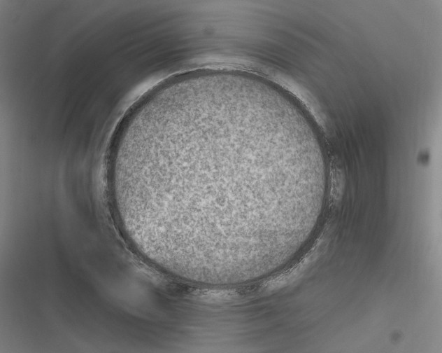 X0000116671074201001111306