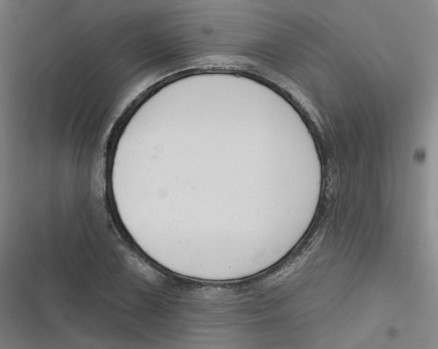 X0000116671075201001111306