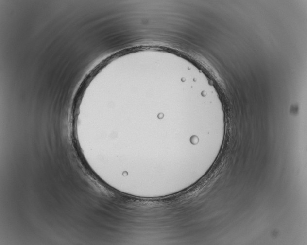 X0000116671076201001111306