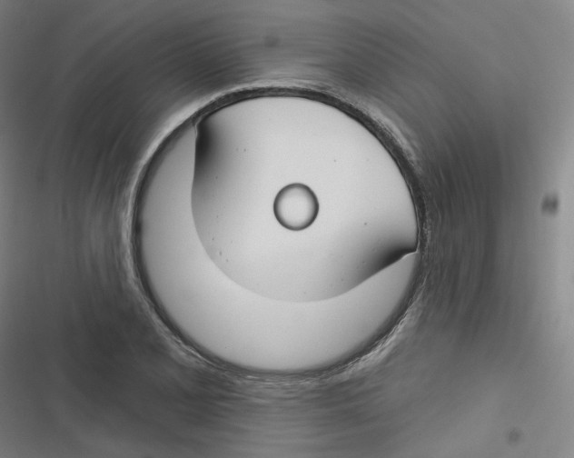 X0000116671077201001111306