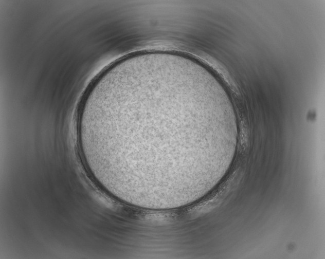 X0000116671078201001111306