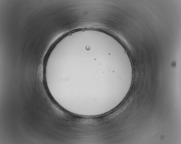 X0000116671079201001111306