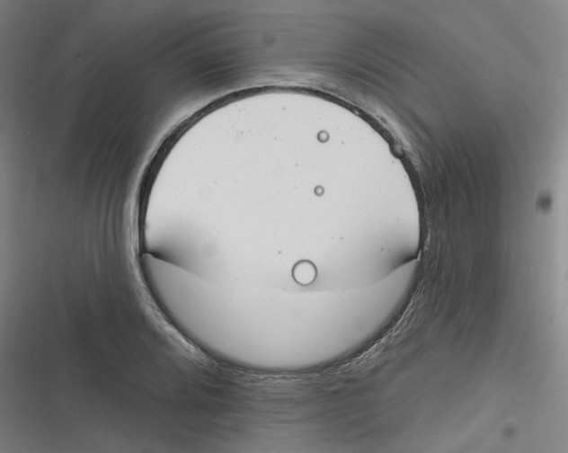 X0000116671080201001111306