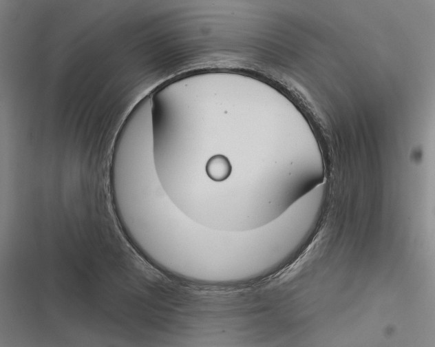 X0000116671081201001111306