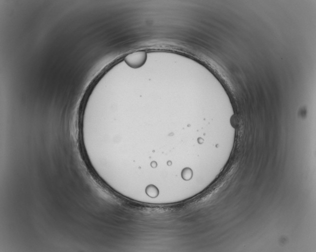 X0000116671082201001111306