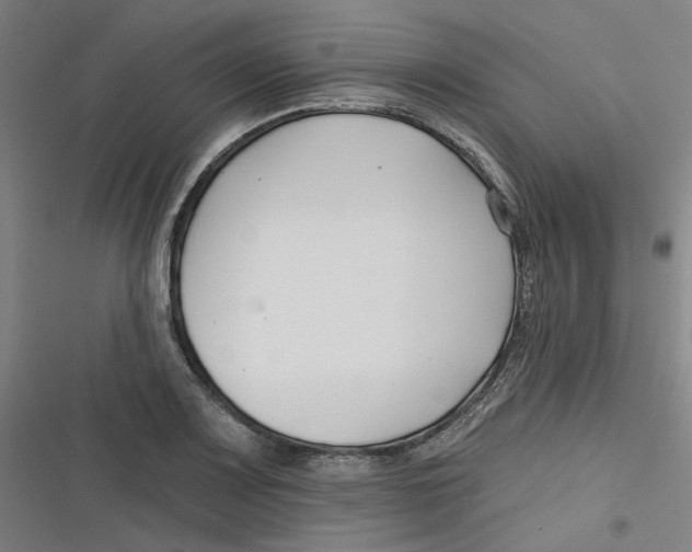 X0000116671083201001111306