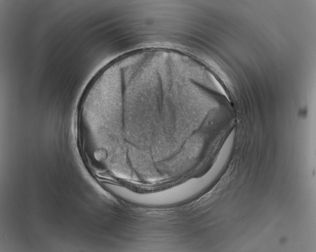 X0000116671084201001111306