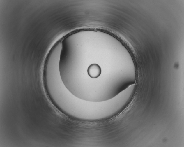 X0000116671085201001111306