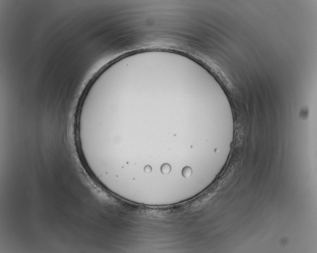 X0000116671086201001111306