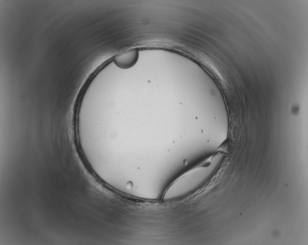 X0000116671087201001111306