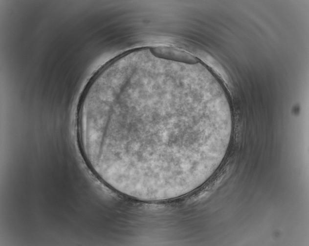 X0000116671088201001111306