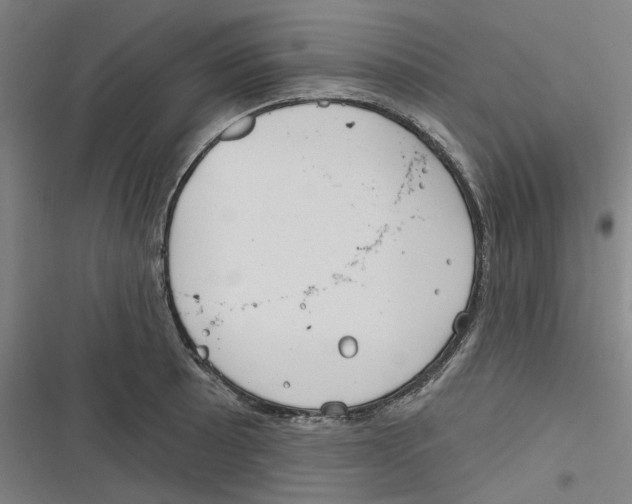 X0000116671089201001111306