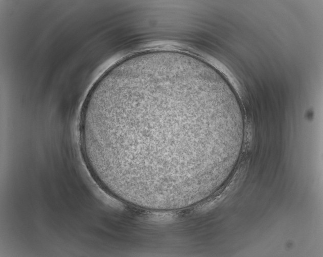 X0000116671090201001111306