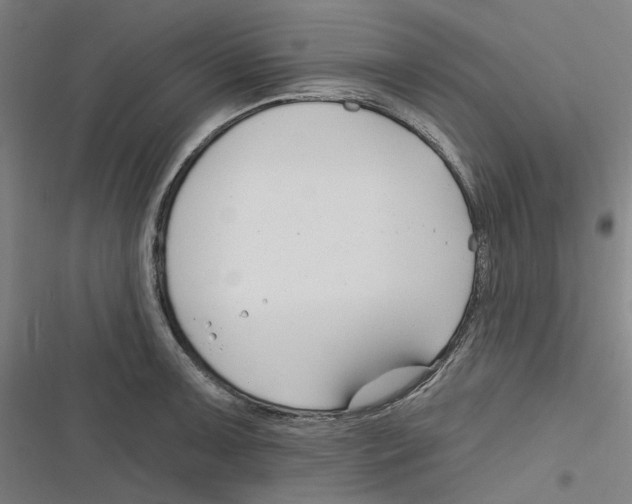 X0000116671091201001111306