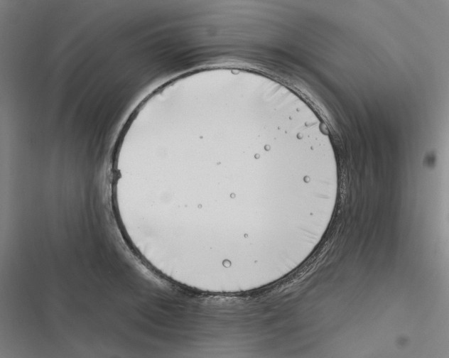 X0000116671092201001111306