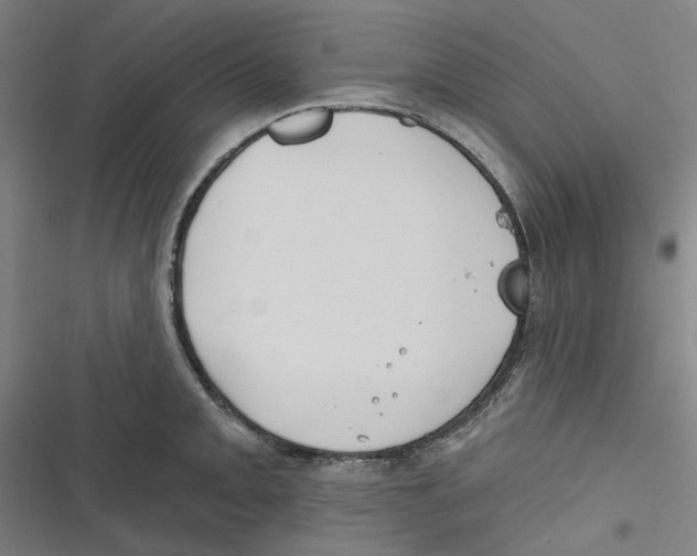 X0000116671093201001111306