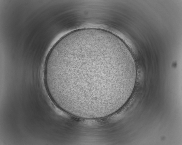 X0000116671094201001111306