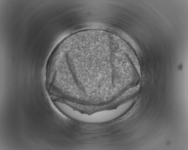 X0000116671095201001111306