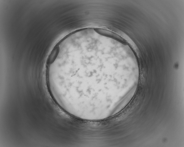 X0000116671096201001111306