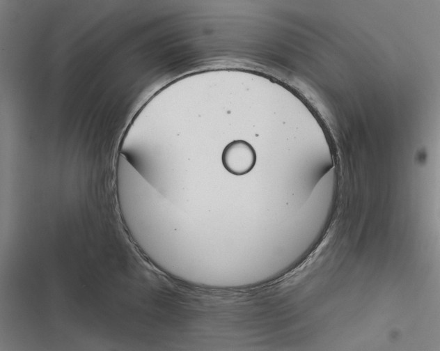 X0000116671097201001111306