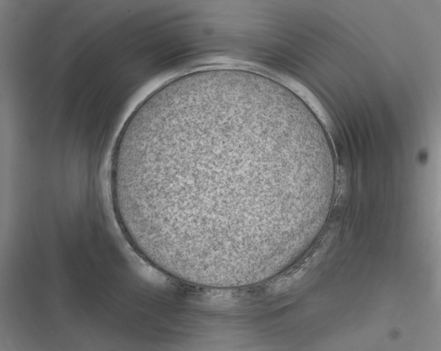 X0000116671098201001111306