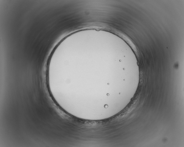 X0000116671099201001111306