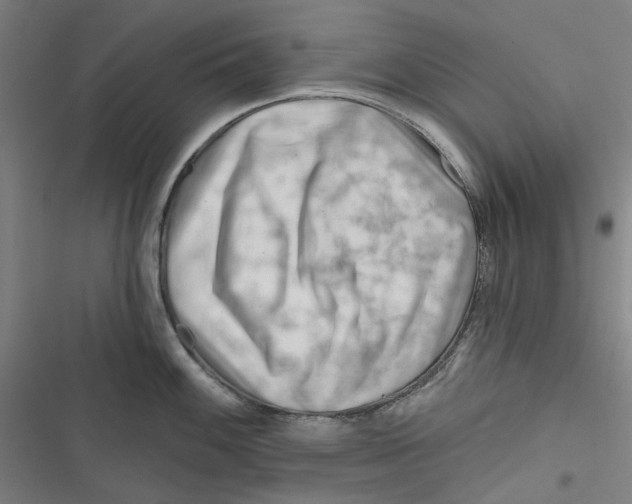 X0000116671100201001111305