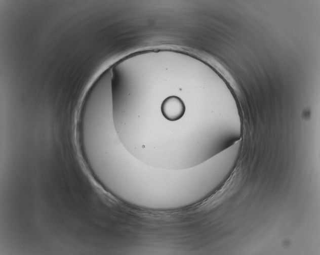 X0000116671101201001111305