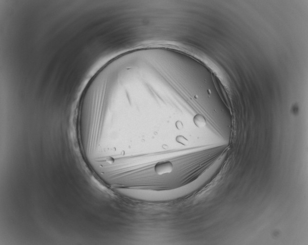 X0000116671102201001111305