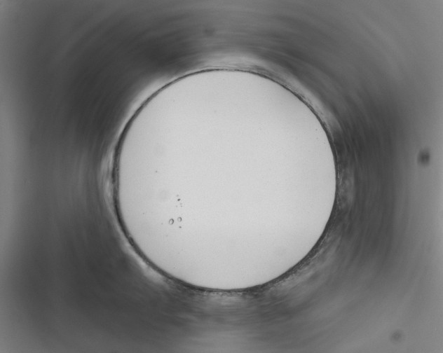 X0000116671103201001111305